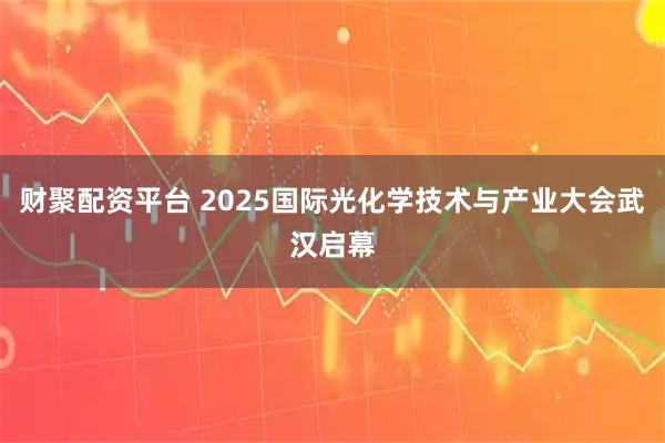 财聚配资平台 2025国际光化学技术与产业大会武汉启幕