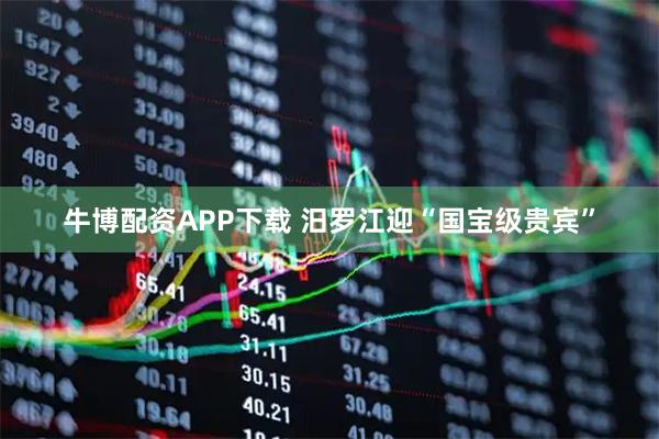 牛博配资APP下载 汨罗江迎“国宝级贵宾”